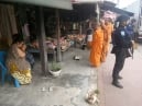 รักษาความปลอดภัย พระภิกษุสงฆ์วัดอุไรรัตนาราม จำนวน ๕ รูป ออกเดินบิณฑบาตรโปรดญาติโยมชาวไทยพุทธ