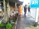 พระภิกษุสงฆ์ออกบิณฑบาตบริเวณภายในชุมชนไทยพุทธและในตลาดเทศบาลบาเจาะ